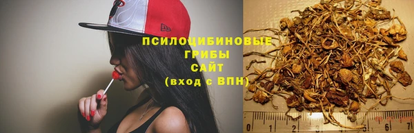 ешки Бронницы