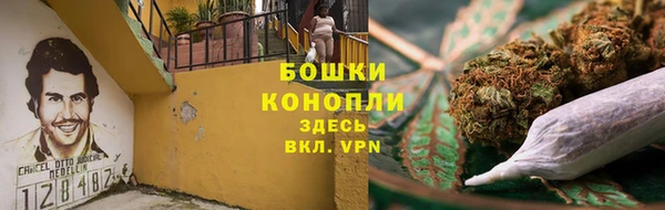 ешки Бронницы