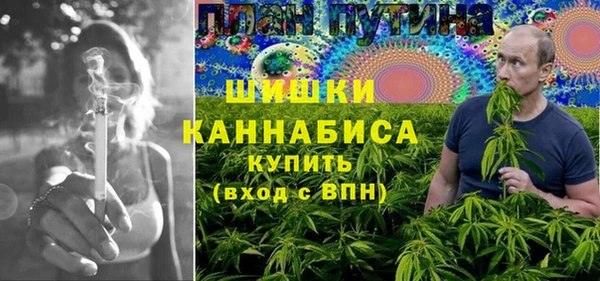 ешки Бронницы