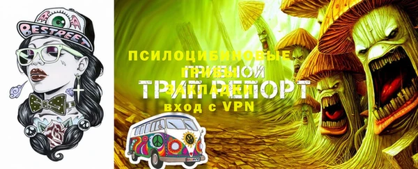 Альфа ПВП Бугульма
