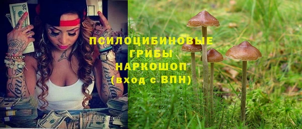 соль курить ск Бородино