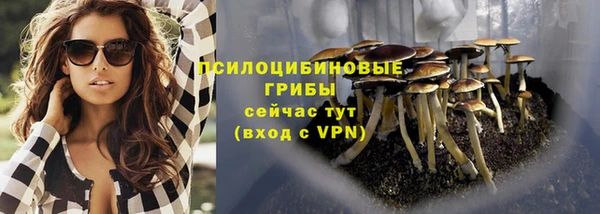 соль курить ск Бородино