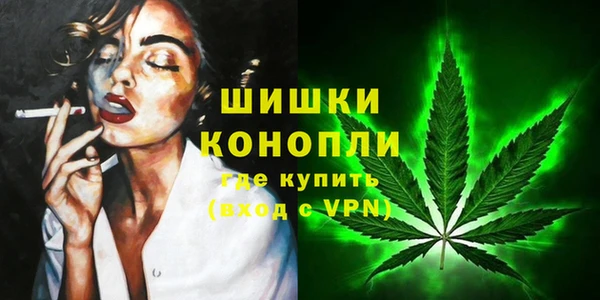 ешки Бронницы