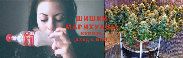 ешки Бронницы