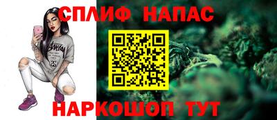 гидропоника Балтийск