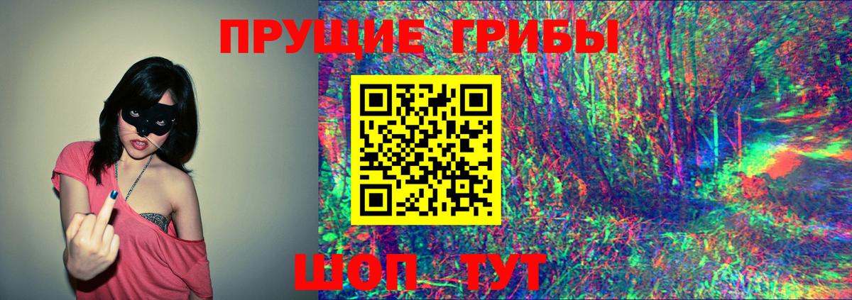 Бугуруслан  где купить наркоту  Вход с VPN  Псилоцибиновые грибы Cubensis 