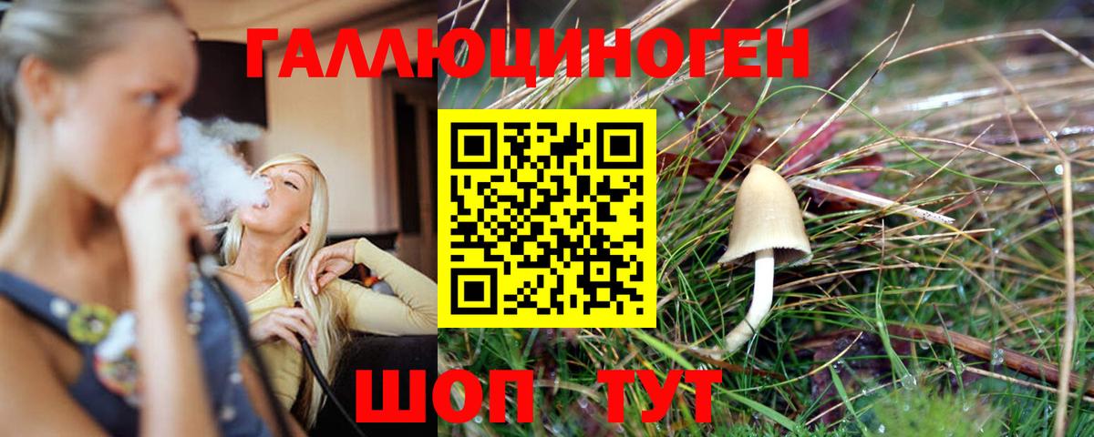 Псилоцибиновые грибы GOLDEN TEACHER Бугуруслан