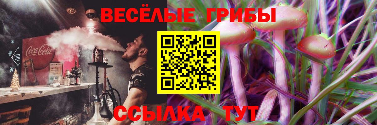 Галлюциногенные грибы мицелий Бугуруслан